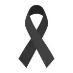 ribbon image 307